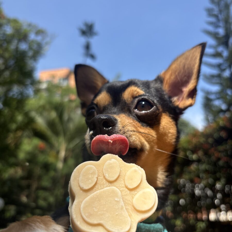 Paletas