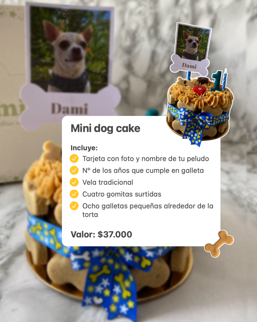 Mini dog cake